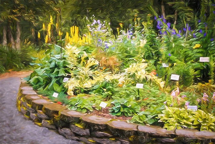 alaska_botanical_gardens_upper_perennials_impression_2.jpg