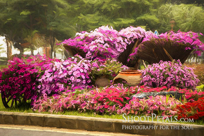 jeju flower display convention centre
