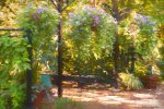 botanical gardens park tilford