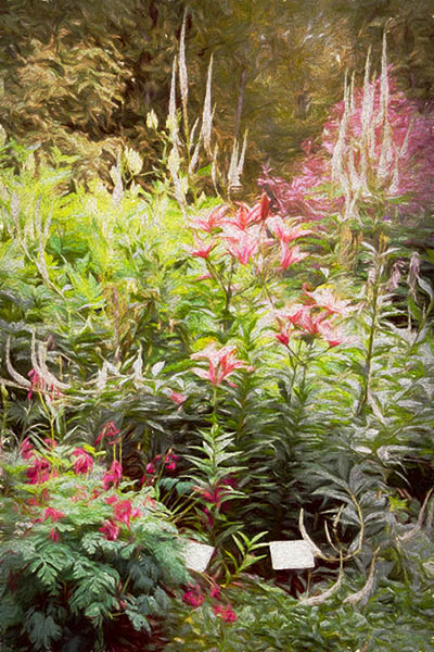 Lower Perennial Garden, Alaska Botanical Garden