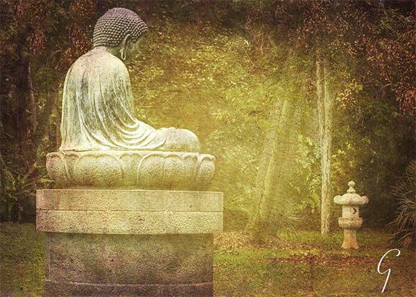 Buddha In Foster Botanical Garden, Honolulu, Hawaii