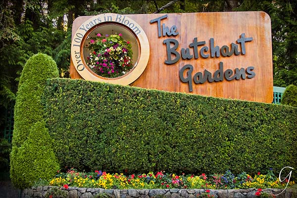 The Gardens After Dark - The Butchart Gardens