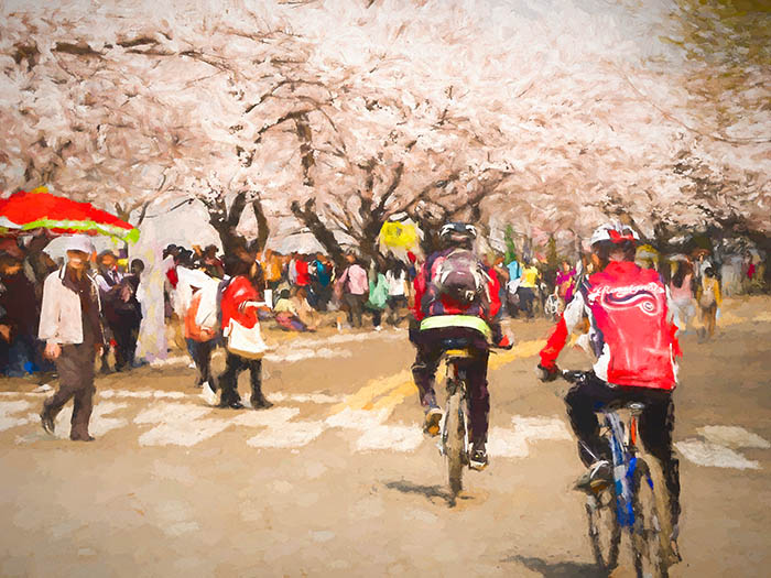 Spring festival Yeouido South Korea