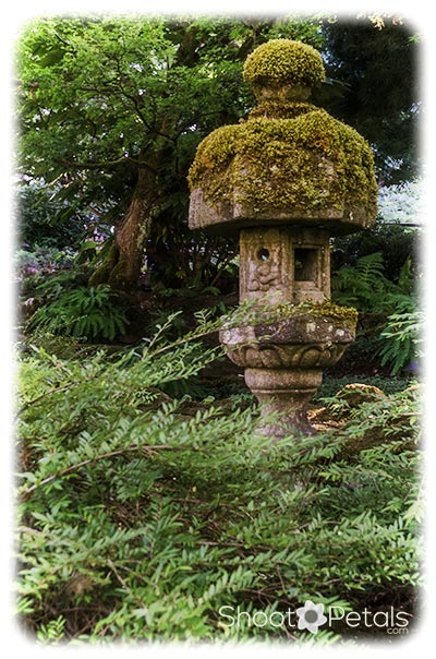 Stone Lantern in a Japanese Garden