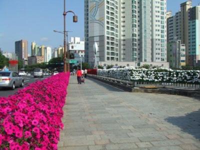 Daegu Bridge Garden 2