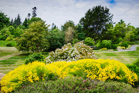 Yeomiji botanical gardens