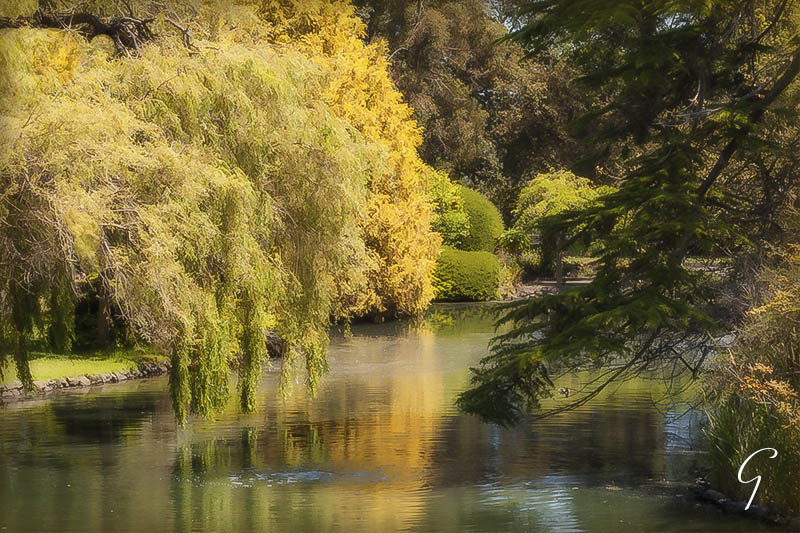 Autumn at Beacon Hill Park