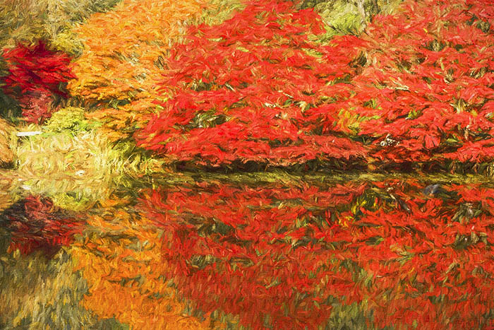 Autumn Reflections at VanDusen Botanical Garden