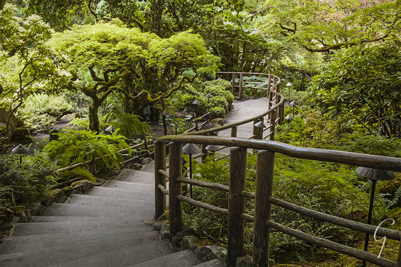 Butchart Gardens Steps Japanese Garden
