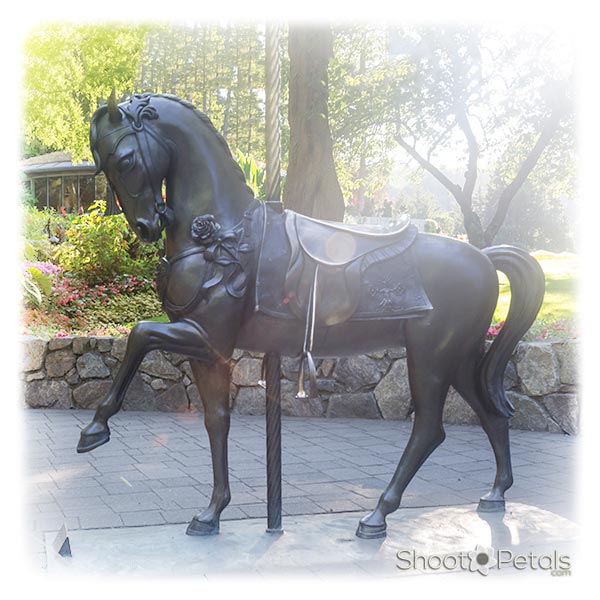 Metal Horse Near the Rose Carousel