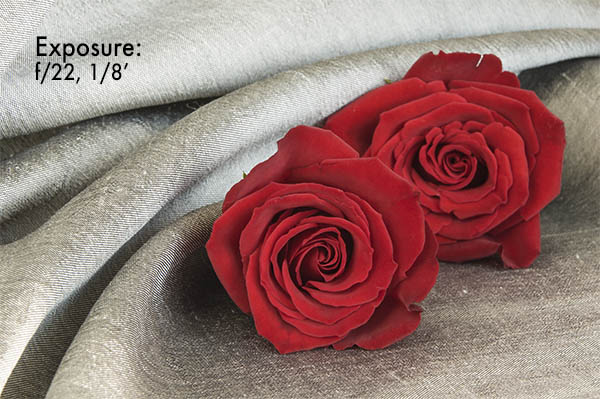 Red Roses On Silk F22