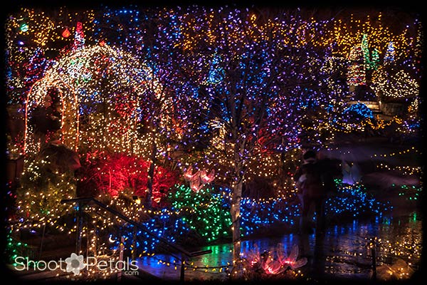 VanDusen Botanical Gardens Festival of Lights