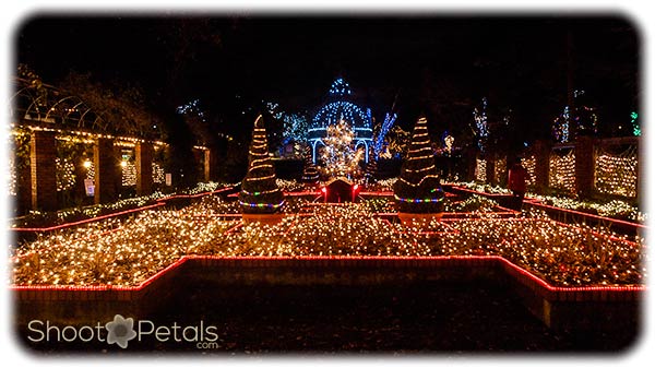 Festival of Lights Park Tilford Gardens Pergola