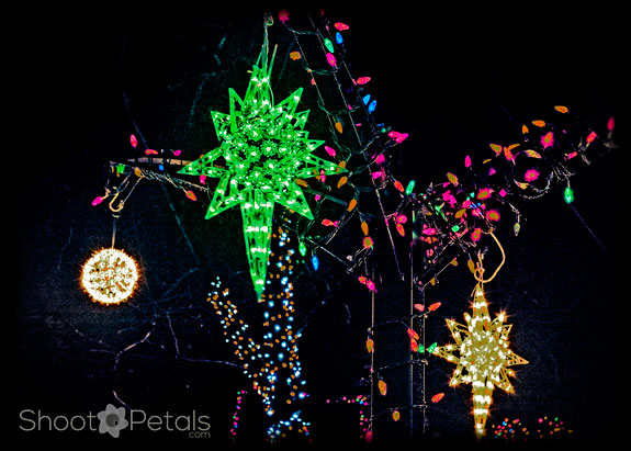 Lights at Park Tilford Gardens