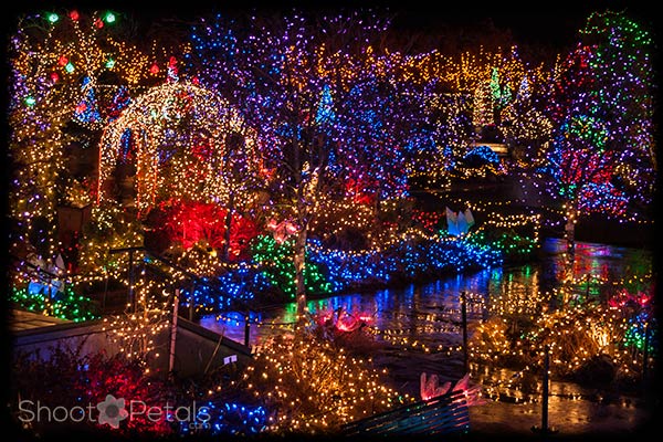 VanDusen Botanical Gardens Festival of Lights.