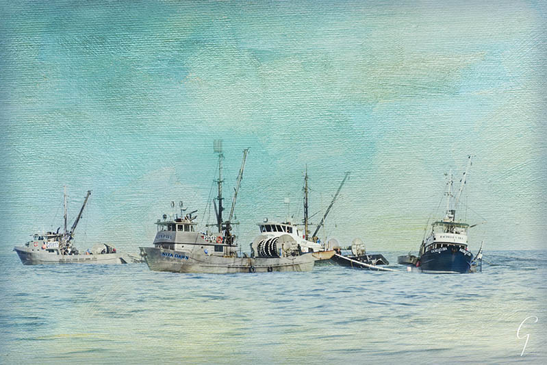 Fishing Boats Off Qualicum Beach Nov 2016