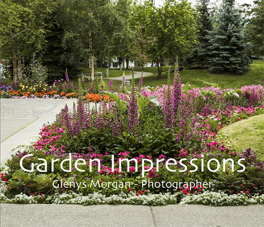 Garden Impressions PDF Cover