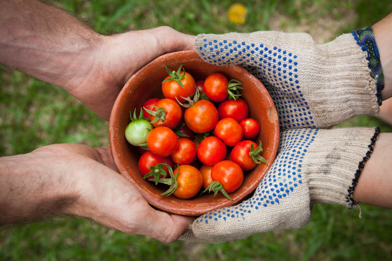 Growing Our Own Food