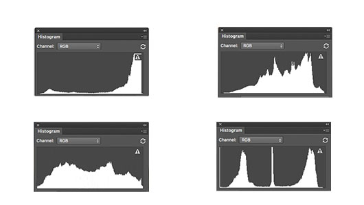 Four Very Different Photo Histograms