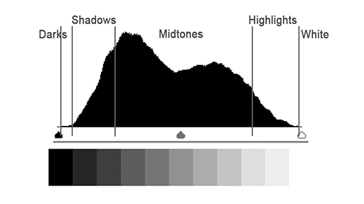 A Photo Luminance Histogram