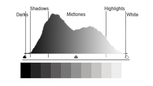 A Photo Luminance Histogram