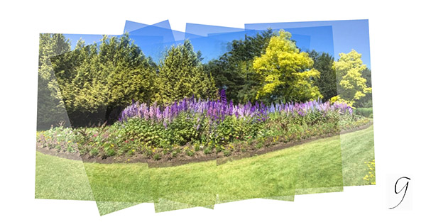 iPhoneography panorama Livingston Lake VanDusen Botanical Garden
