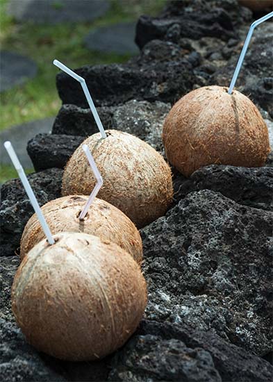 Coconut Drinks At Cheongyeon Falls