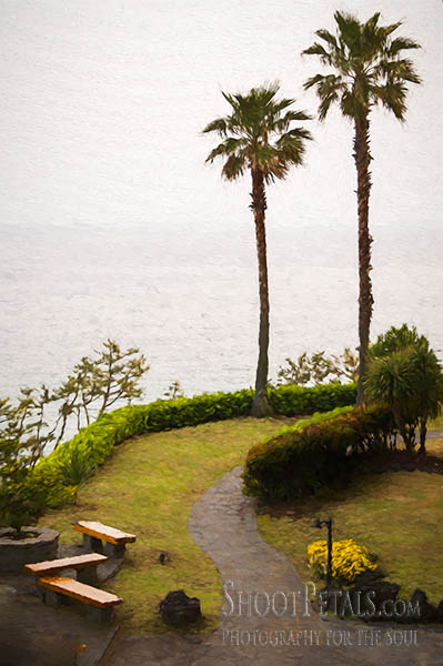 Lawn and Garden Area at the Hyatt,