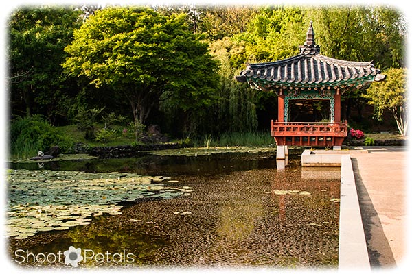 Traditional Korean Garden Jeju Island
