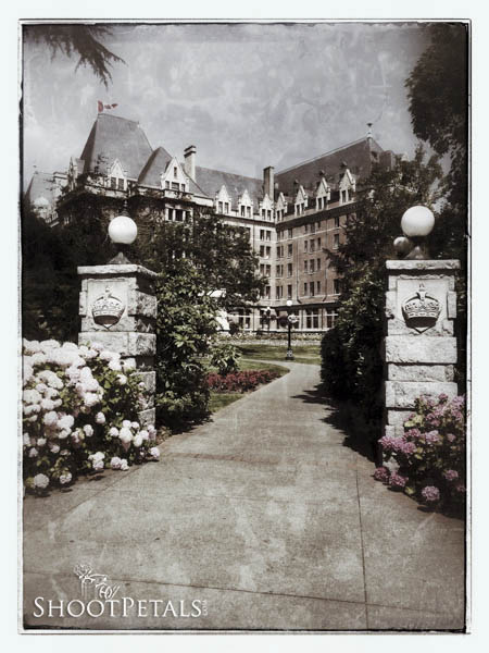 Walk To the Empress Hotel, VIctoria