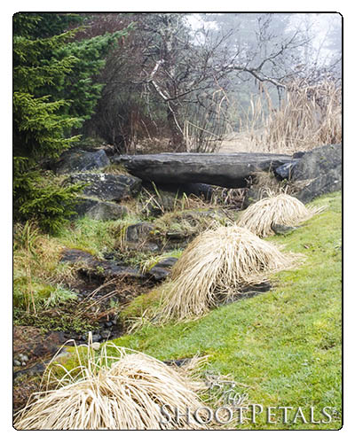 VanDusen Botanical Garden, Leading Lines in Stream, Rocks and Grass