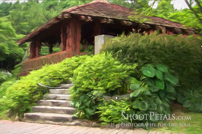 Jeju Island O'Sulloc Green Tea Beside the Restaurant