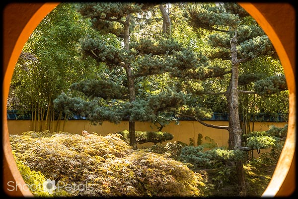 The Japanese Garden fron the Tea House.