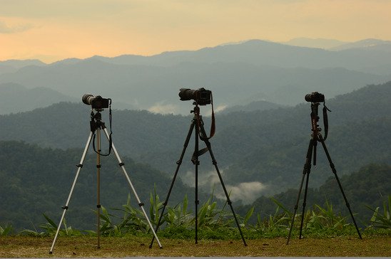 3 camera tripods