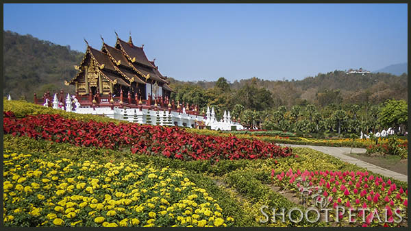 Royal Flora Ratchaphruek, Royal Pavilion and flower beds