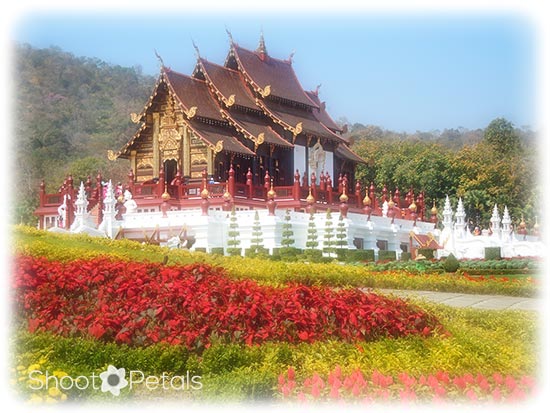 Royal Temple, Royal Flora Ratchephruek, Chiang Mai