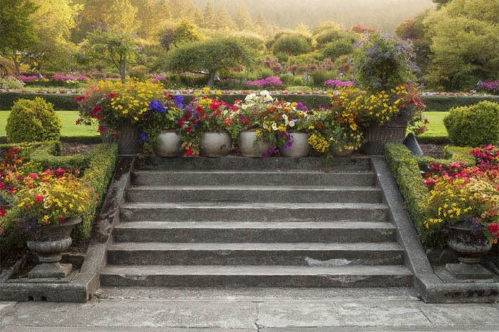 Summer Light Butchart Gardens