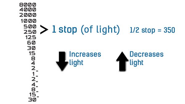 Shutter Speeds and Stops