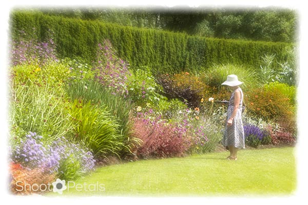 The Great Lawn at VanDusen Botanical Garden