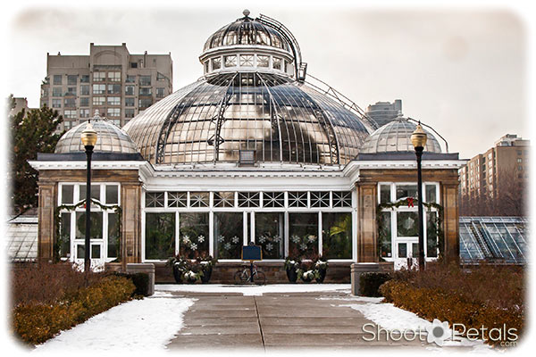 Allans Garden Toronto in Winter