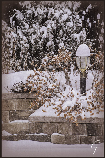 Winter Pictures Garden Lamp Post