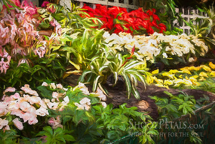 Yeomiji Botanical Gardens, Indoor Gardens