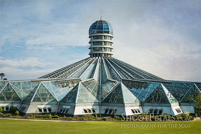 Yeomiji Centre Hall, Observatory, Greenhouse Gardens